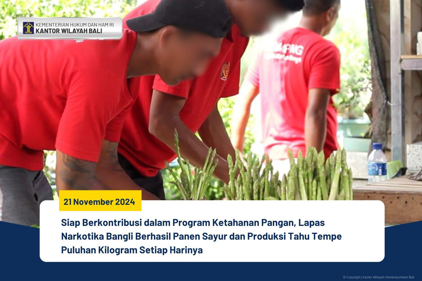 Siap Berkontribusi dalam Program Ketahanan Pangan, Lapas Narkotika Bangli Berhasil Panen Sayur dan Produksi Tahu Tempe Puluhan Kilogram Setiap Harinya